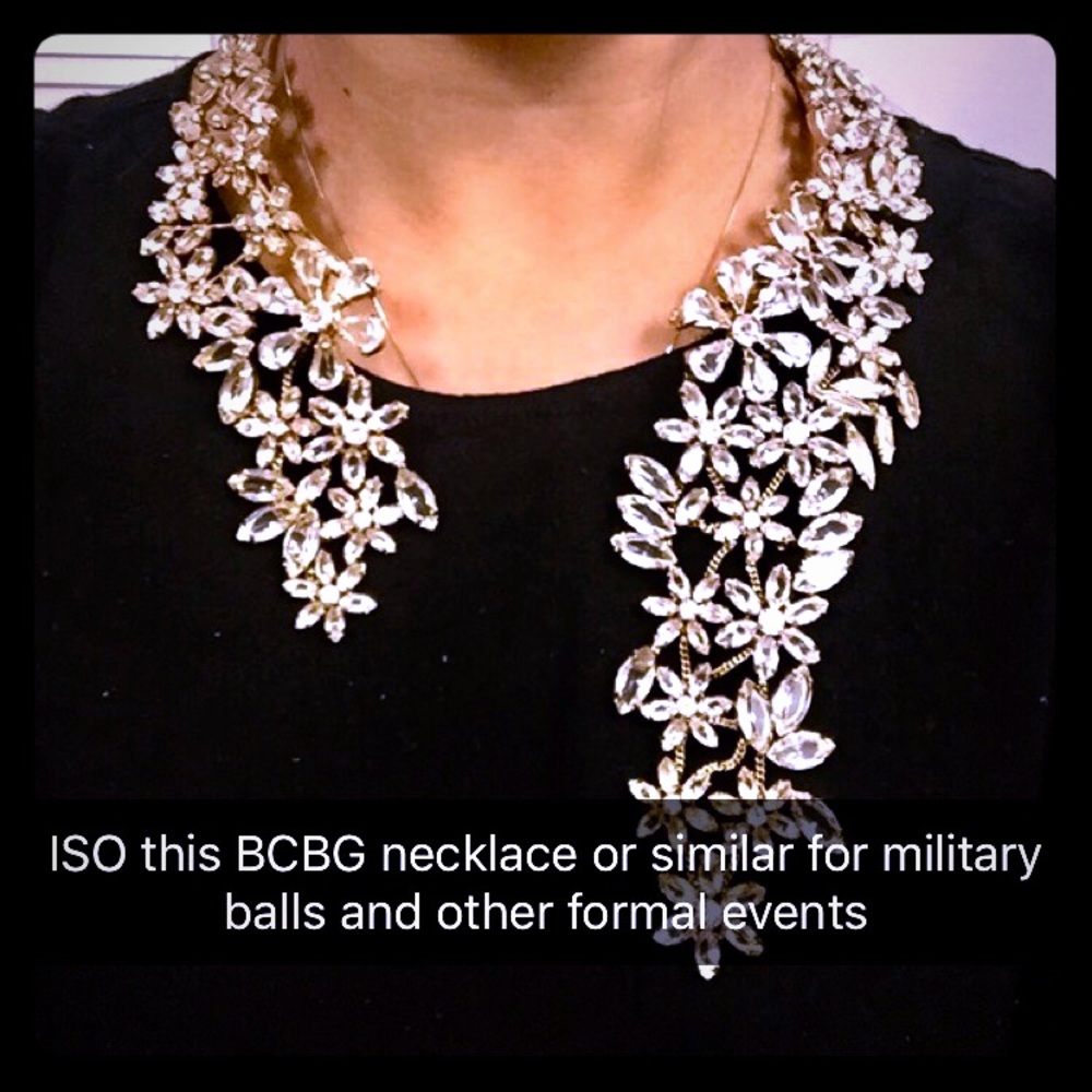ISO this BCBG Necklace